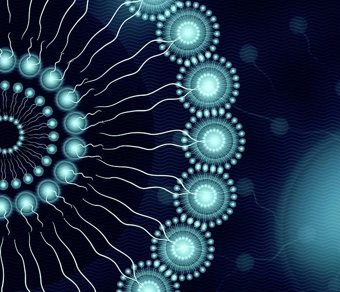 Liposomal products and encapsulation technology